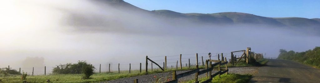 Mlha u plotu ve Francii, Španělsko, hřejivý kontrast